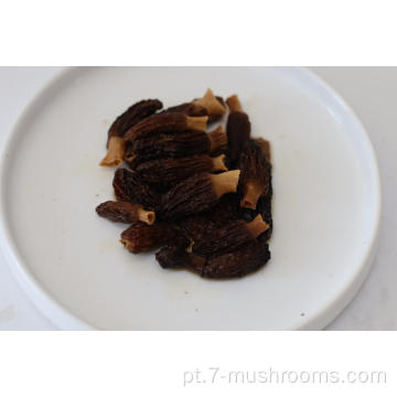 Congelado Cooked Morel Mushroom-500g